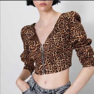 Zara Leopard Print Crop Top